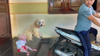 So cute! Luk and puppy obediently waiting dad come home market