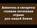 Алкоголь и сигареты – главная легальная отрава для людей Земли