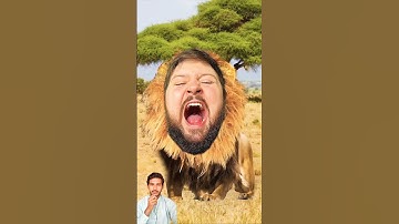 Who Will Win This Challenge #shorts #reaction #comedy #challenge