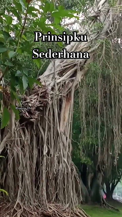 Download lagu Prinsipku Sederhana #shorts