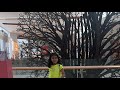 Yas Mall is Abu Dhabi's biggest Mall#abudhabi#dubai