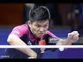 Fan Zhendong -- How to Play the Right Backhand Flick