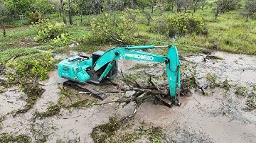 Good Hand Operator Excavator Fall Down The Tree Excavator Clearing Land For Swamp Land Fill Process