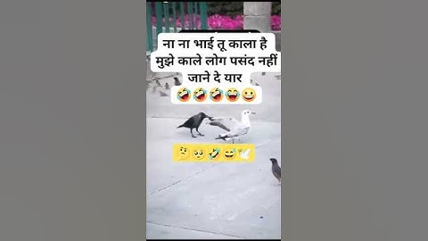 #jai shree radheKrishna🥰❤️🙏#radhe radhe #radhe Krishna #krishna radhe #radhe #krishna