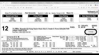 2026 Risen Star Stakes Full Field Analysis and Picks | Fairgrounds