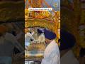 Dhan Sri Guru Granth Sahib ji || Sukhashan Sahib || Sri Darbar Sahib Amritsar #shorts #darbarsahib