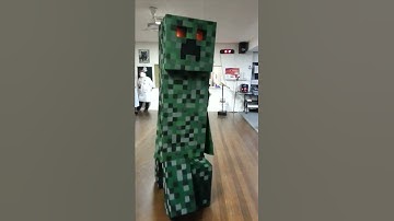 Minecraft Creeper Costume