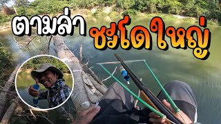 เซียนโอ๋ - ตอน ตามล่าชะโดใหญ่