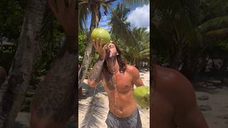 Climbing a Coconut Tree on Siargao Island