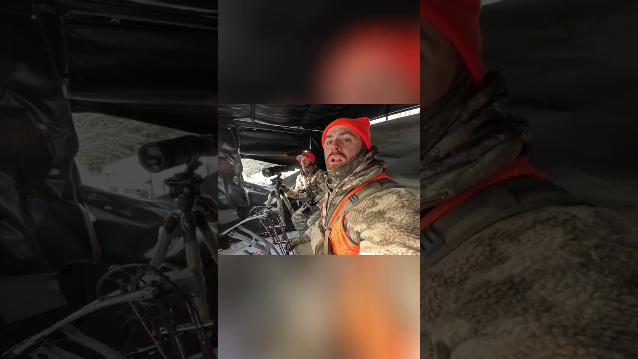 Hunting Deer in Snow: Will He Get The Shot? #shorts