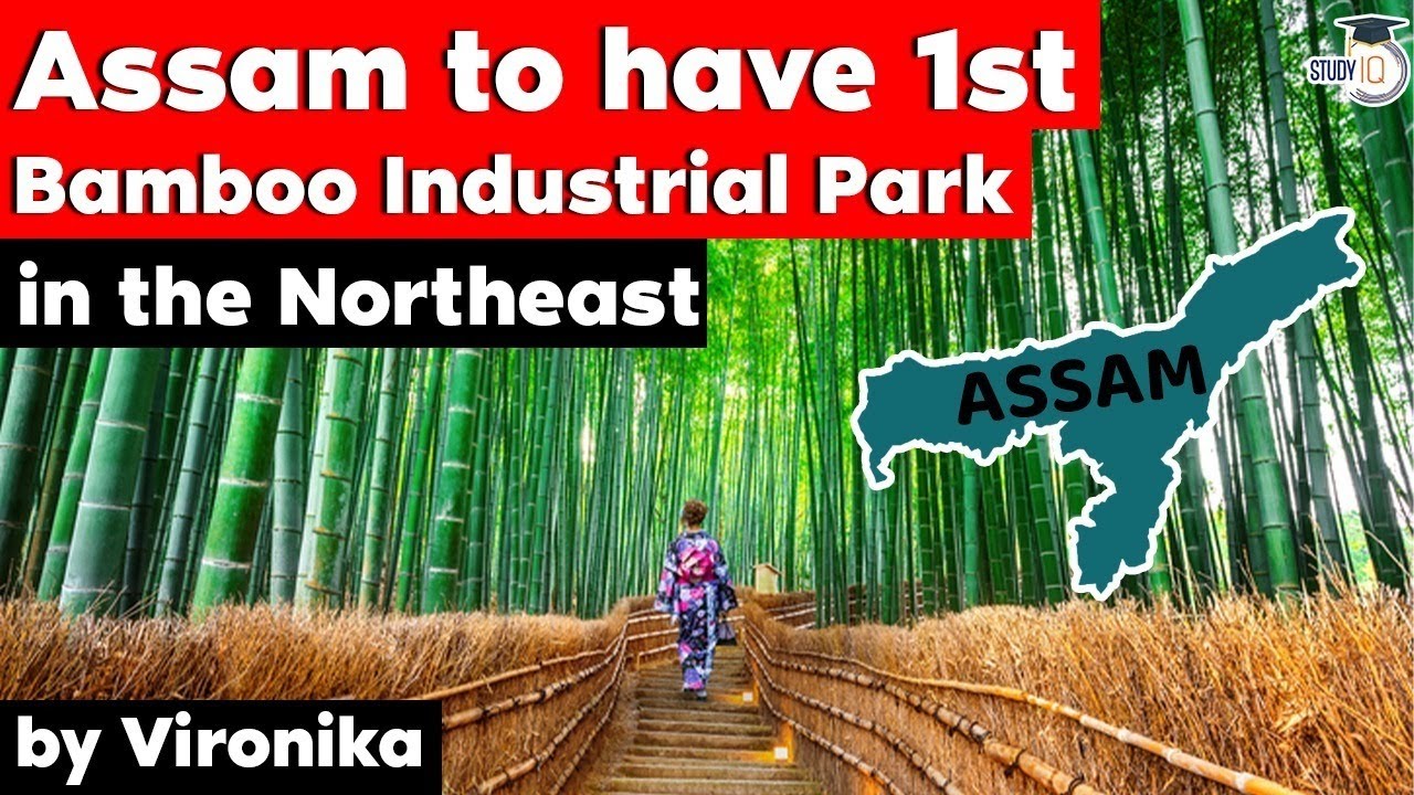 Assam to host first Bamboo Industrial Park in Northeast India Assam