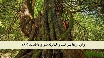 جز 18 ( سوره نور از آیه 59 تا 61 ) با ترجمه فارسی صوتی و تصویری