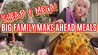 BUDGET LARGE FAMILY MAKE AHEAD MEALS FOR THE HOLIDAYS | Feeding a Crowd \& FREEZER FRIENDLY!