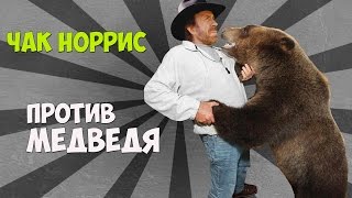 Чак Норрис побил медведя гризли Чак Норрис побил медведя гризли