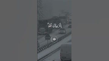 سورة التغابن___ماهر المعيقلي