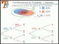 Maths tes tl  probabilits conditionnelles  mathmatiques terminale bac es l