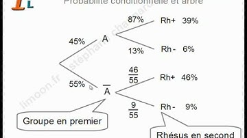Maths TES TL - Probabilités conditionnelles - Mathématiques Terminale BAC ES L