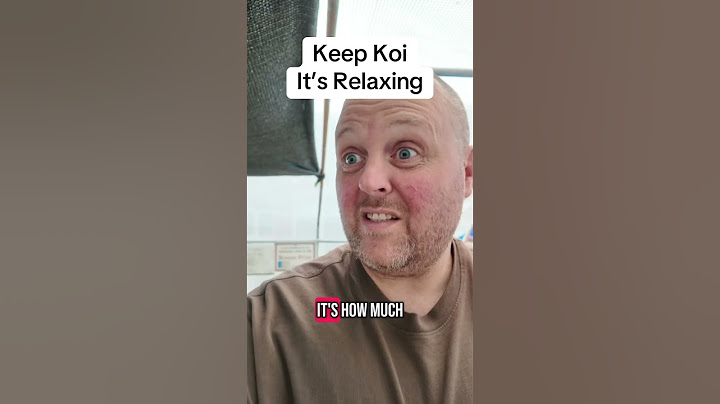 Keep koi they said, it’s relaxing they said! #koi #koifish #koipond