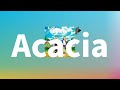저 반짝임을 향해 함께 Bump Of Chicken Acacia 가사 발음 한글 자막 해석 저 반짝임을 향해 함께 Bump Of Chicken Acacia 가사 발음 한글 자막 해석