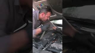 Warning from mechanics as water-damaged cars land in Edmonton repair shops