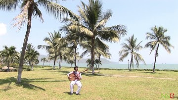 Cảm xúc quê hương (Văn Hiếu, độc tấu đàn nguyệt)