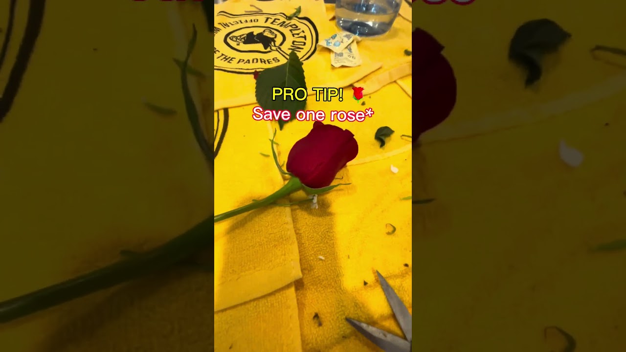 Save Money & Make Your Own Flower Bouquet! 💐