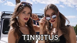 Twin Melody(fmv)_Tinnitus by txt