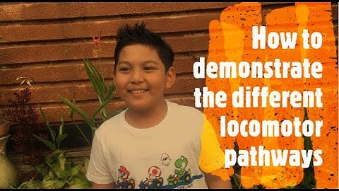 How-To Videos: Demonstrate Locomotor Pathways