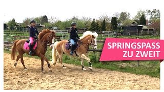 ON TOUR bei Majas Vlogs: ⭐️ Mega Spaß ⭐️ beim Springen 🐎