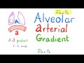 Alveolararterial gradient  aa gradient  respiratory physiology  pathologypulmonary medicine