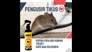 Auto Detailing Cairan Pengusir Tikus Ampuh RAT Repellent 250ml