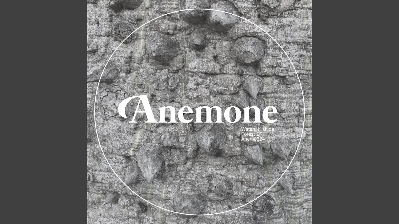 Watch Forest on YouTube Watch Forest on YouTube