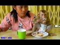 Smart Monkey Kako Enjoy Steamed Vegetable With Meatball And Rice