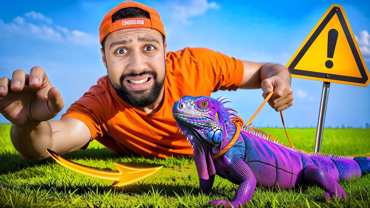 Իմ Նոր Ընտանի Կենդանին (Փոքրիկ Դրակոն)...