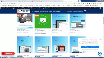 Plugin trong wordpress là gì?