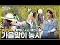 놀면 뭐하니 농사 짓다 생긴 일 놀면뭐하니 유재석 이상이 MBC241005방영 놀면 뭐하니 농사 짓다 생긴 일 놀면뭐하니 유재석 이상이 MBC241005방영