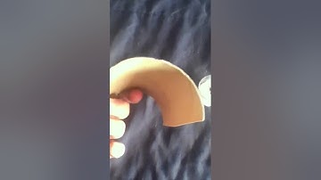 How to make cool leopard gecko hides