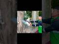 Biggest Tree Feeling Skills Technique Shortvideo Woodworking Chainsaw 