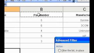 Microsoft Office Excel 2003 Count the number of unique values by using a filter