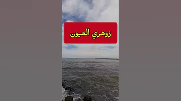 زوهري العيون وقدراتة ومميزاتة وصفاته وعلاماته و التواصل مع روحانياته الزوهري الزوهريين الزوهرية 