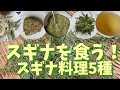 スギナを食う！スギナ料理5種！