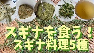 スギナを食う！スギナ料理5種！