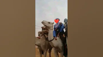 خرجو الخيالة 
