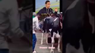 Download Lagu happy diwali 😂🤪🤪 #shorts #youtubeshorts #fireworks #shonedyt MP3