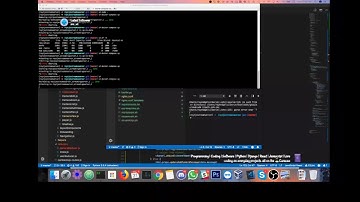 Programming | Python | Django | React | Javascript | Live coding on everyday projects. all on the 🏝