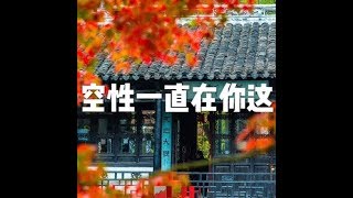 201801 空性一直在你这23105
