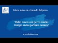 Mito 5. &quot;Debo tener a mi perro mucho tiempo en el PARQUE CANINO o PIPICAN&quot; | LealCan Adiestramiento