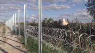 Convicts Help Build Hungary Border Fence