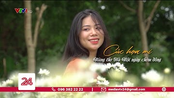 Cúc họa mi - Nàng thơ Hà Nội ngày chớm đông | VTV24