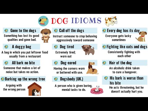 DOG Idioms | 35+ Useful DOG Idioms and Sayings in English